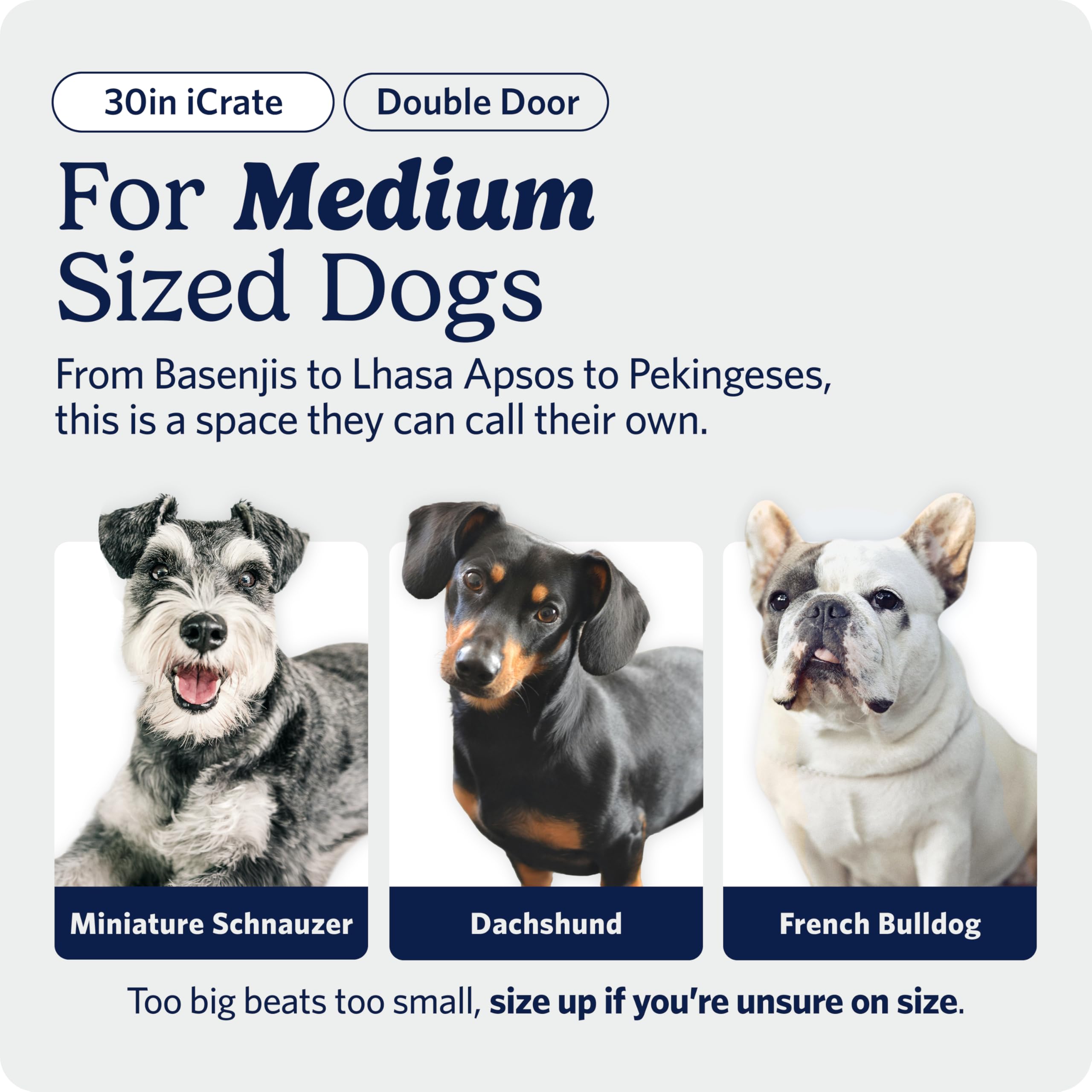 MidWest Homes for Pets 30-Inch iCrate for Medium Breeds, 21-40 lbs, Single Door Folding Dog Crate with Divider Panel, Leak-Proof Tray & Secure Latch, Portable, Durable & Easy to Assemble Gronata