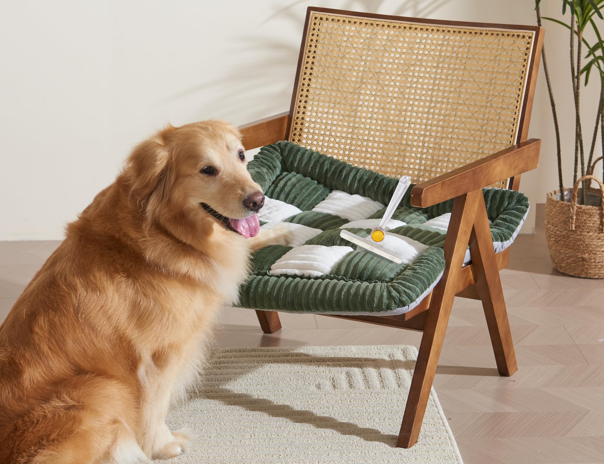 Couch Cushion Cover for dogs Sofa Cover Washable Pet Love Seat Couch Covers for Sofa Slipcovers Couch Protector Blanket for Dogs Sofa Cushion Covers for Pets Washable Pad Black 70x150cm/27.6x59in Gronata