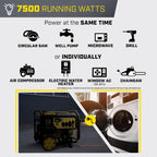 Champion Power Equipment 9375-Watt Dual Fuel Portable Generator with Electric Start and Free 3-Year Warranty Gronata