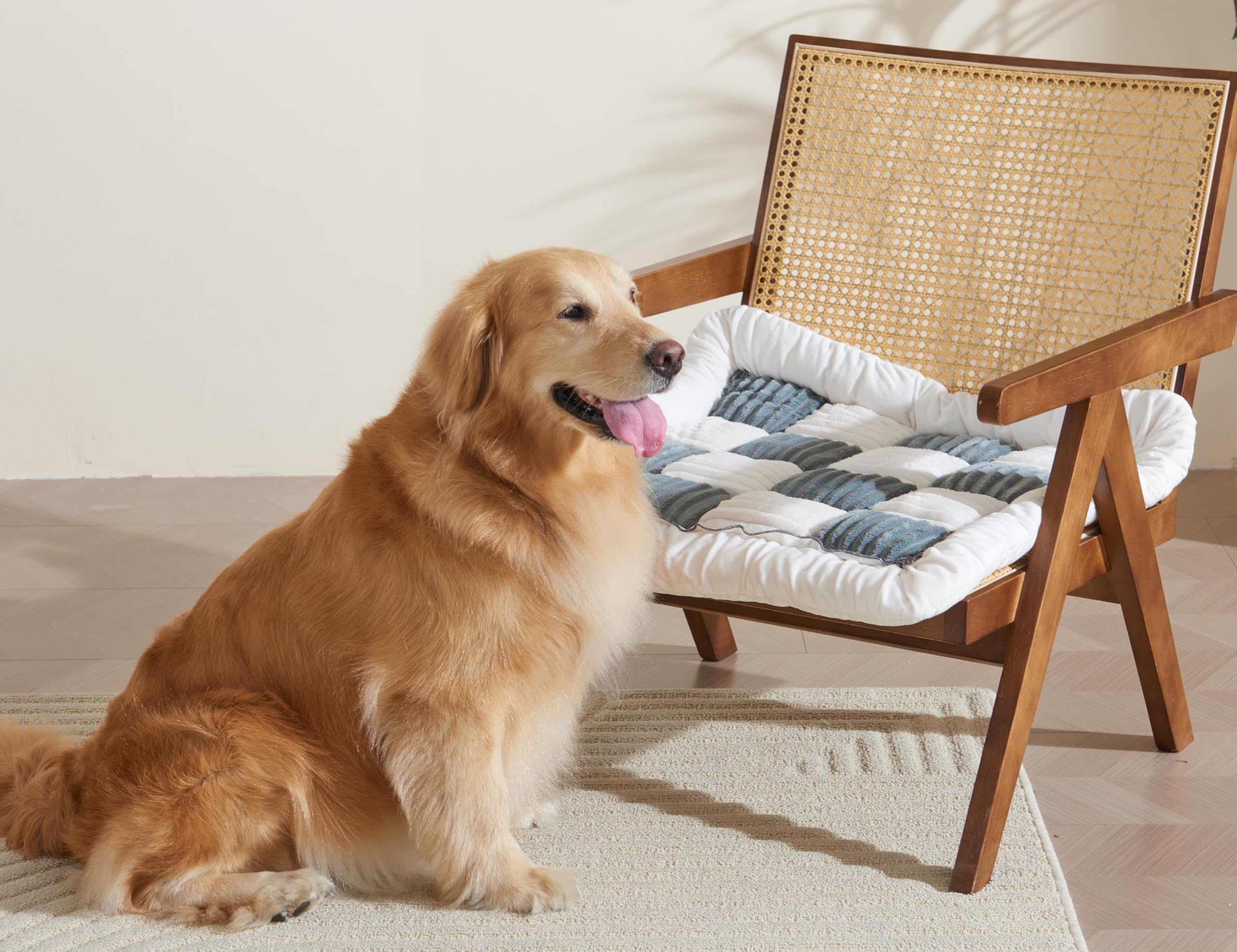 Couch Cushion Cover for dogs Sofa Cover Washable Pet Love Seat Couch Covers for Sofa Slipcovers Couch Protector Blanket for Dogs Sofa Cushion Covers for Pets Washable Pad Black 70x150cm/27.6x59in Gronata