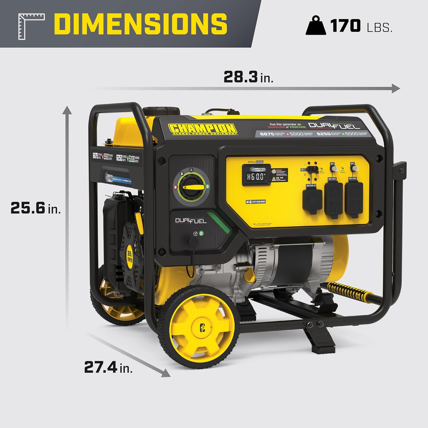 Champion Power Equipment 6875-Watt Dual Fuel Portable Generator with Free 3-Year Warranty Gronata