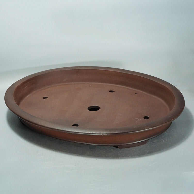 Oval Pot For Green Plants Potted Plants Jungle Gardening And Bonsaisimple And Minimalist