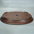 Oval Pot For Green Plants Potted Plants Jungle Gardening And Bonsaisimple And Minimalist