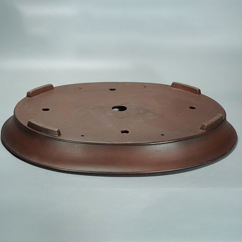 Oval Pot For Green Plants Potted Plants Jungle Gardening And Bonsaisimple And Minimalist