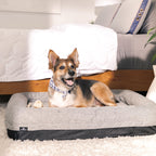 Bedgear Performance Dog Bed - Medium/Large - Durable Pet Bed with Washable Cover - Removable Pad for Travel Gronata