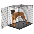 MidWest Homes for Pets 30-Inch iCrate for Medium Breeds, 21-40 lbs, Single Door Folding Dog Crate with Divider Panel, Leak-Proof Tray & Secure Latch, Portable, Durable & Easy to Assemble Gronata