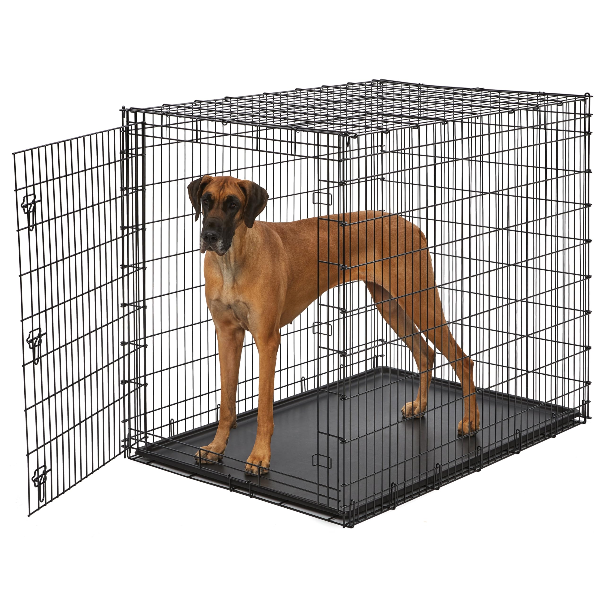 MidWest Homes for Pets 30-Inch iCrate for Medium Breeds, 21-40 lbs, Single Door Folding Dog Crate with Divider Panel, Leak-Proof Tray & Secure Latch, Portable, Durable & Easy to Assemble Gronata