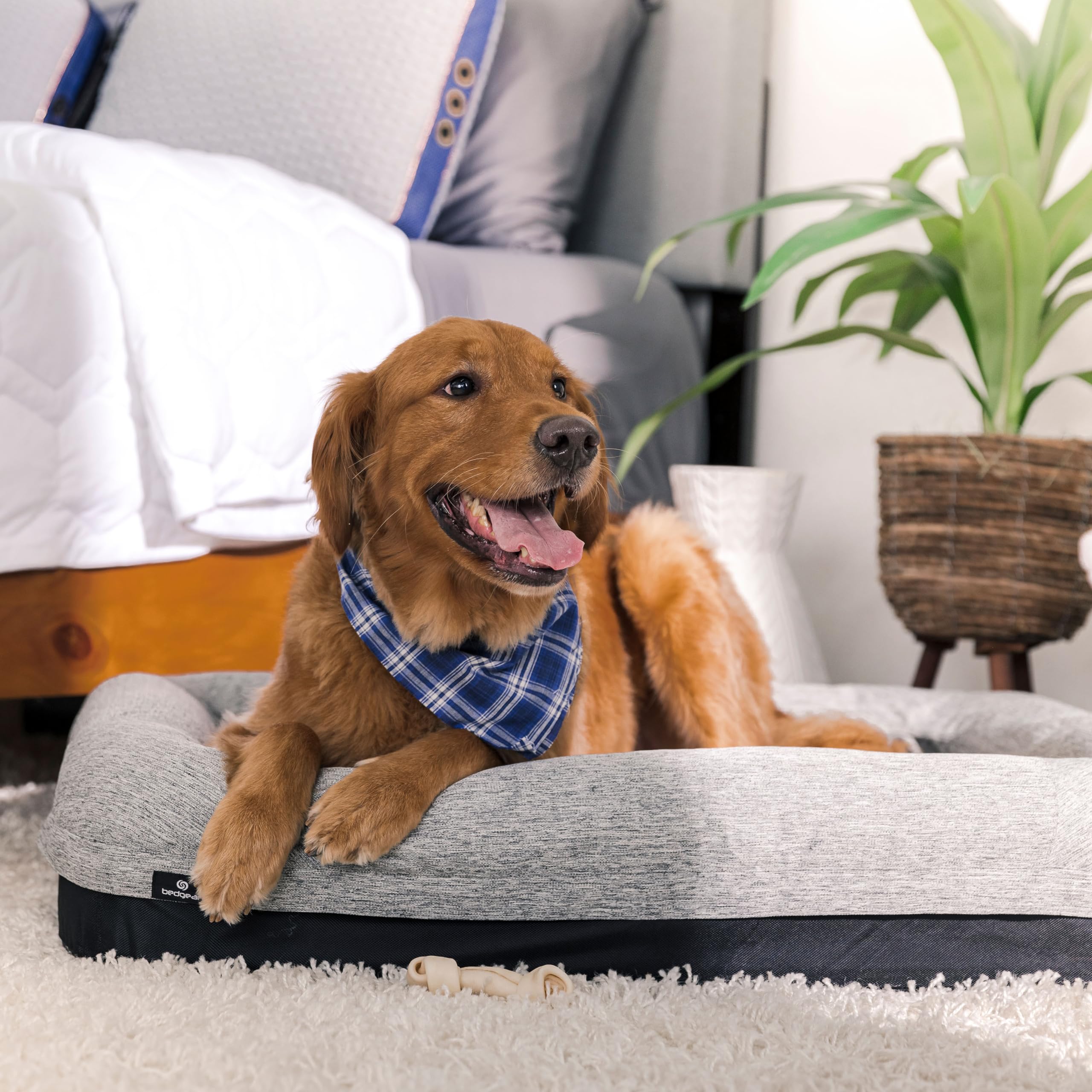 Bedgear Performance Dog Bed - Medium/Large - Durable Pet Bed with Washable Cover - Removable Pad for Travel Gronata