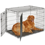 MidWest Homes for Pets 30-Inch iCrate for Medium Breeds, 21-40 lbs, Single Door Folding Dog Crate with Divider Panel, Leak-Proof Tray & Secure Latch, Portable, Durable & Easy to Assemble Gronata