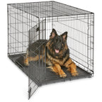 MidWest Homes for Pets 30-Inch iCrate for Medium Breeds, 21-40 lbs, Single Door Folding Dog Crate with Divider Panel, Leak-Proof Tray & Secure Latch, Portable, Durable & Easy to Assemble Gronata