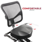 Sunny Health & Fitness Elite Interactive Series Exercise Recumbent Bike - SF-RB420046 Gronata
