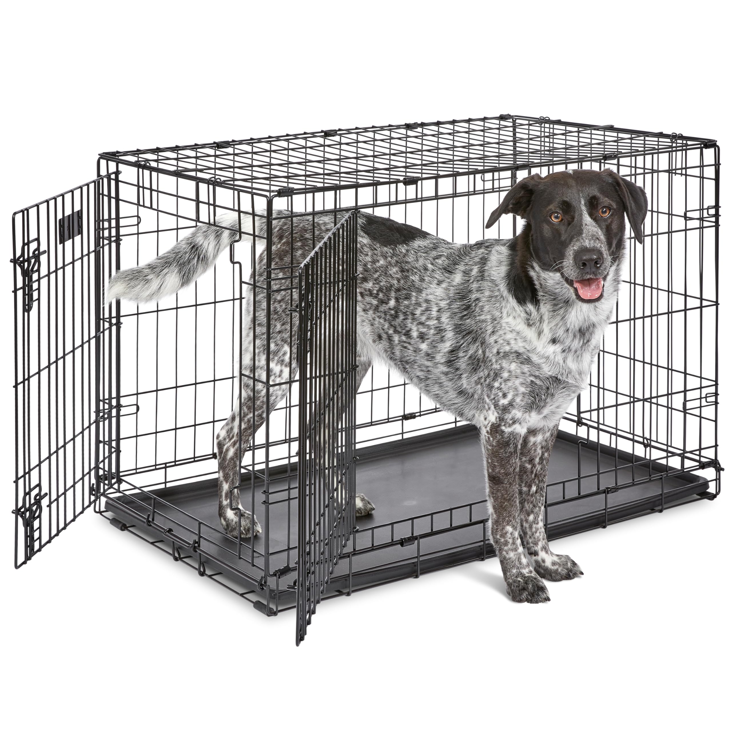 MidWest Homes for Pets 30-Inch iCrate for Medium Breeds, 21-40 lbs, Single Door Folding Dog Crate with Divider Panel, Leak-Proof Tray & Secure Latch, Portable, Durable & Easy to Assemble Gronata
