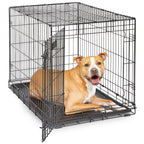 MidWest Homes for Pets 30-Inch iCrate for Medium Breeds, 21-40 lbs, Single Door Folding Dog Crate with Divider Panel, Leak-Proof Tray & Secure Latch, Portable, Durable & Easy to Assemble Gronata