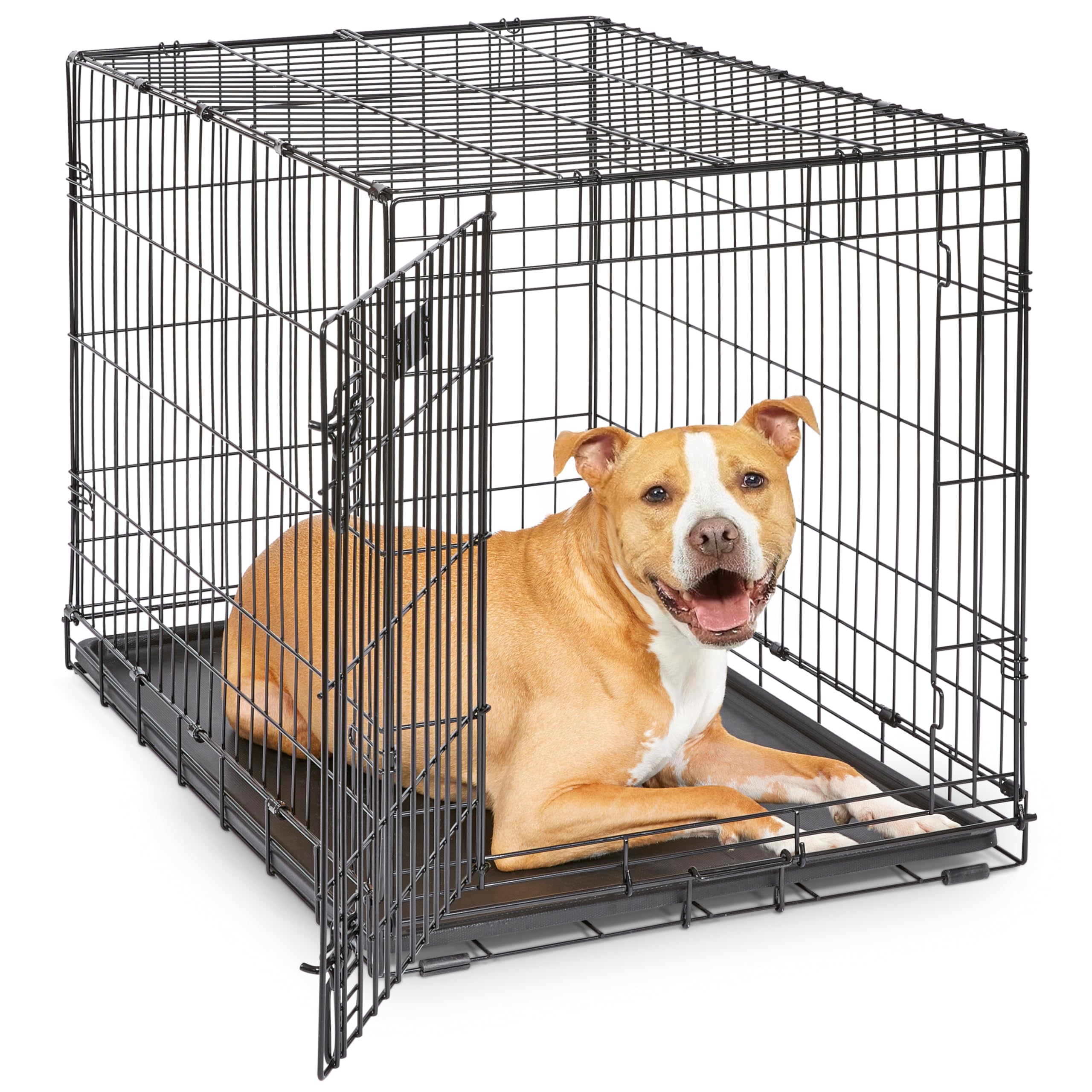 MidWest Homes for Pets 30-Inch iCrate for Medium Breeds, 21-40 lbs, Single Door Folding Dog Crate with Divider Panel, Leak-Proof Tray & Secure Latch, Portable, Durable & Easy to Assemble Gronata