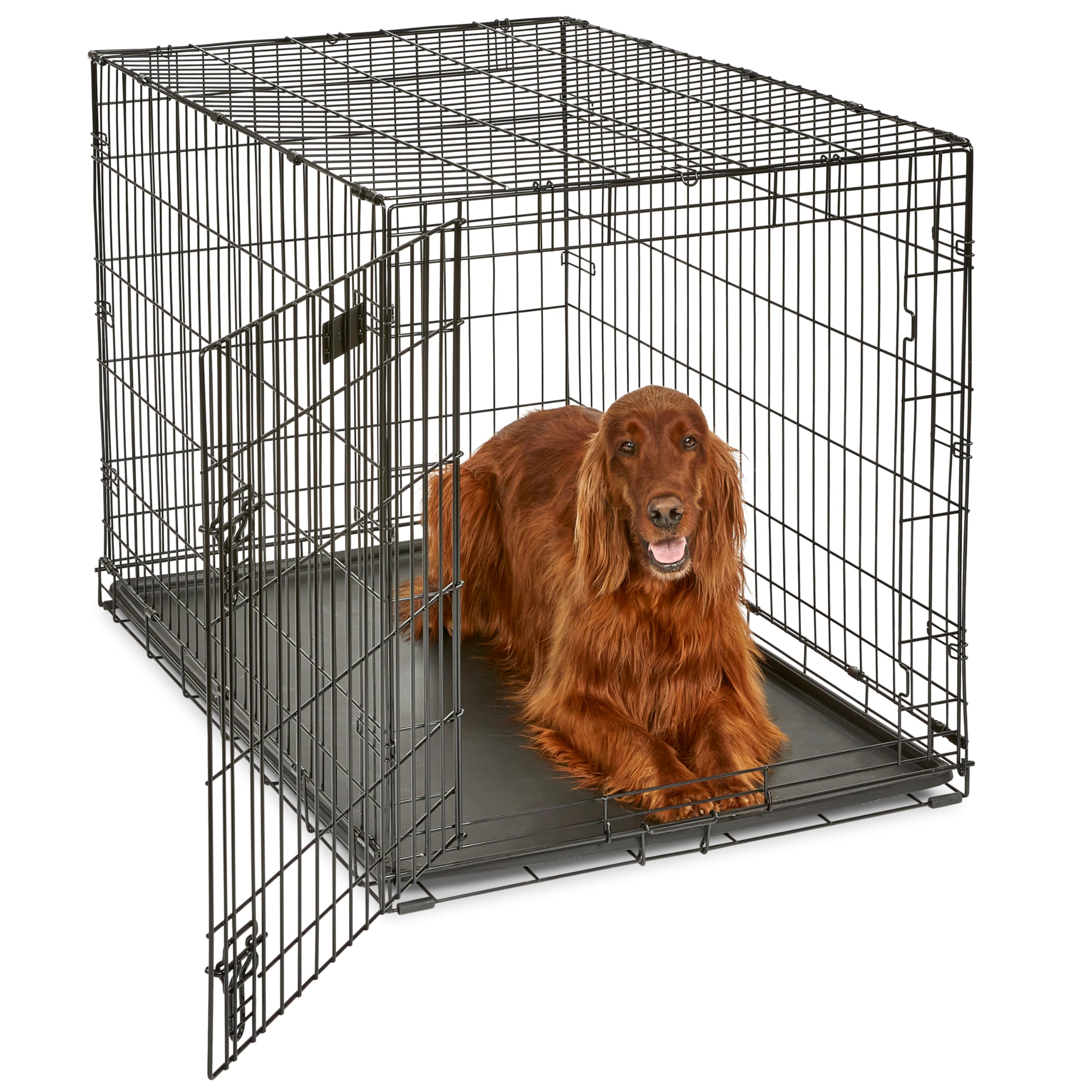 MidWest Homes for Pets 30-Inch iCrate for Medium Breeds, 21-40 lbs, Single Door Folding Dog Crate with Divider Panel, Leak-Proof Tray & Secure Latch, Portable, Durable & Easy to Assemble Gronata