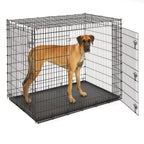 MidWest Homes for Pets 30-Inch iCrate for Medium Breeds, 21-40 lbs, Single Door Folding Dog Crate with Divider Panel, Leak-Proof Tray & Secure Latch, Portable, Durable & Easy to Assemble Gronata