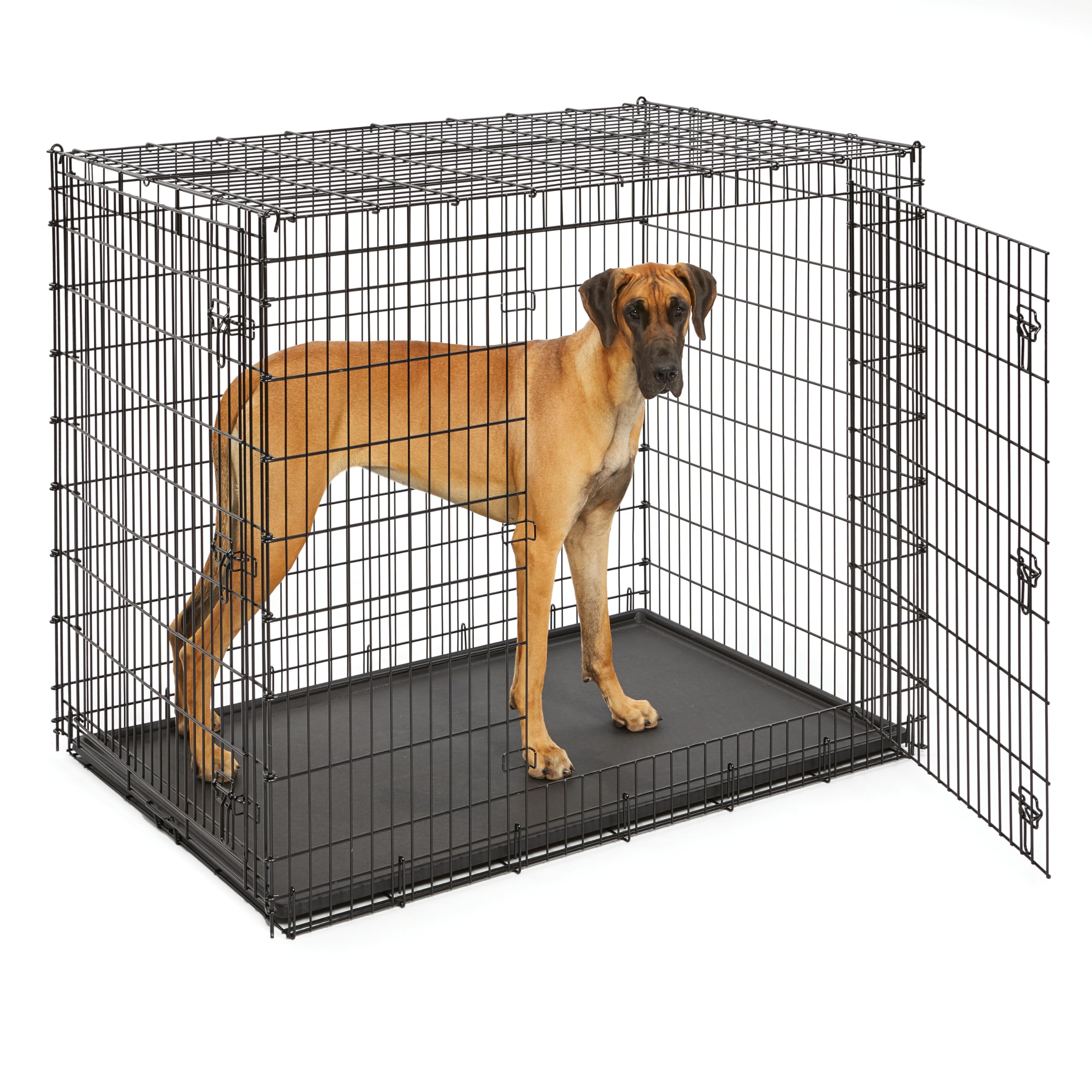 MidWest Homes for Pets 30-Inch iCrate for Medium Breeds, 21-40 lbs, Single Door Folding Dog Crate with Divider Panel, Leak-Proof Tray & Secure Latch, Portable, Durable & Easy to Assemble Gronata