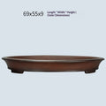 Oval Pot For Green Plants Potted Plants Jungle Gardening And Bonsaisimple And Minimalist