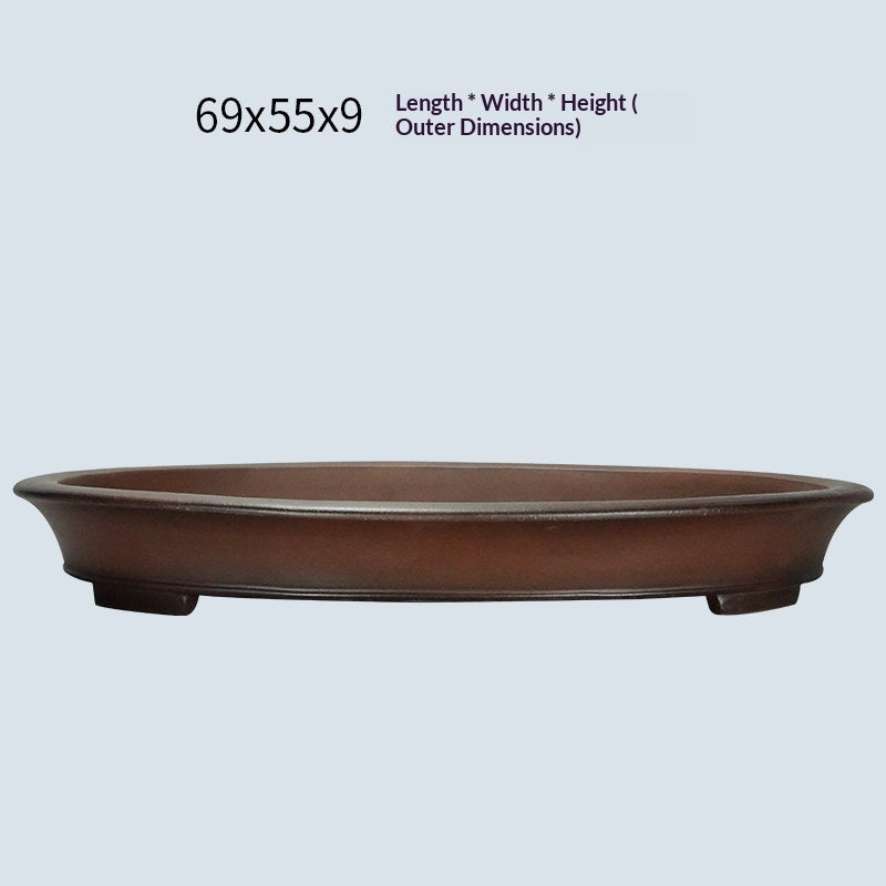 Oval Pot For Green Plants Potted Plants Jungle Gardening And Bonsaisimple And Minimalist