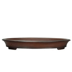 Oval Pot For Green Plants Potted Plants Jungle Gardening And Bonsaisimple And Minimalist