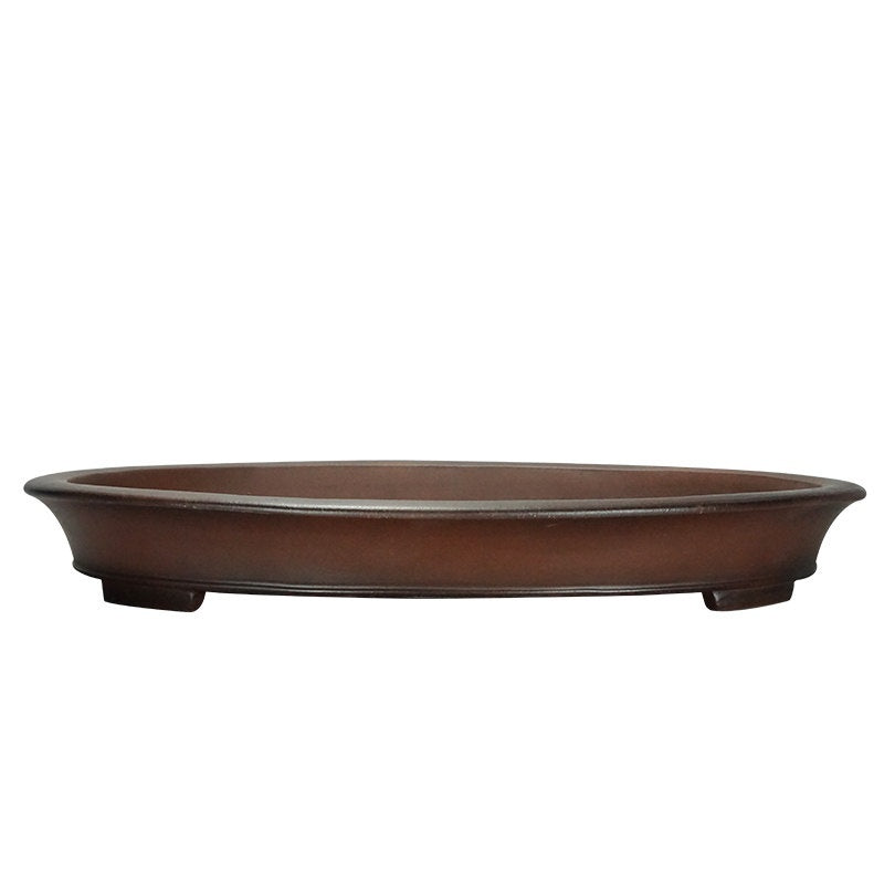 Oval Pot For Green Plants Potted Plants Jungle Gardening And Bonsaisimple And Minimalist